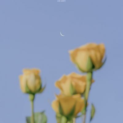 云开全站app截图